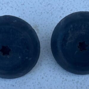 1986 Camaro/Firebird 3rd brake light Torx mounting bolts